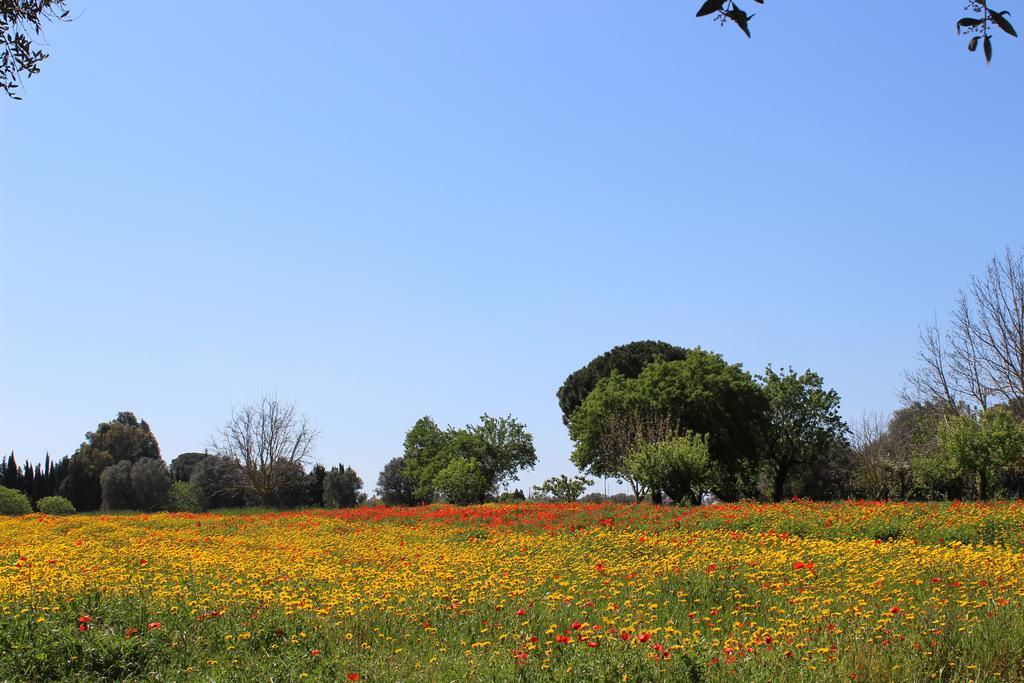 Casina Bardoscia Villa Cutrofiano Esterno foto